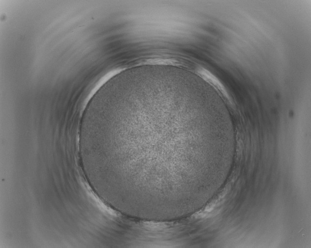 X0000088030852200705182023