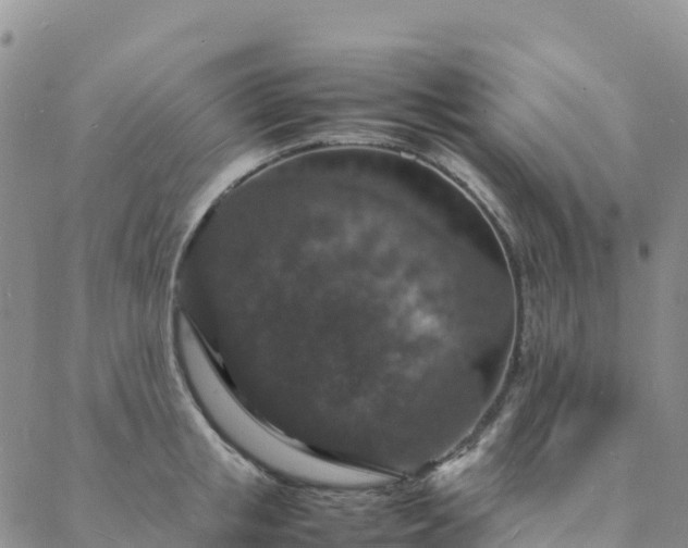 X0000088030853200705182023