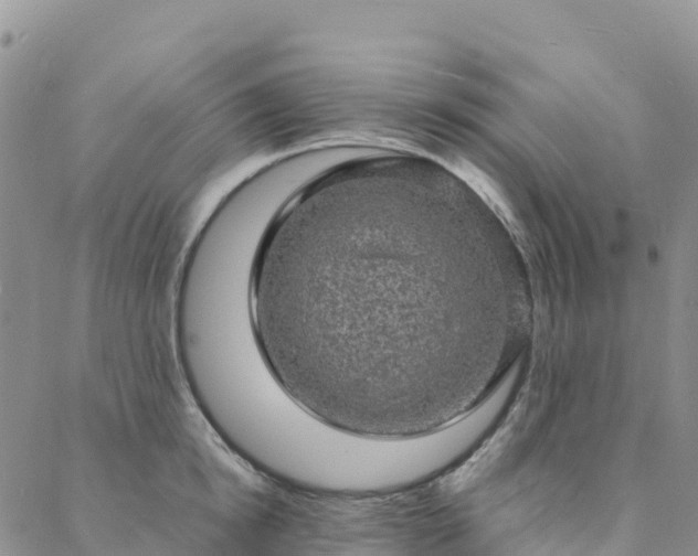 X0000088030854200705182023