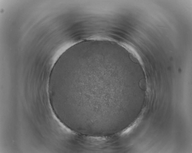 X0000088030855200705182023