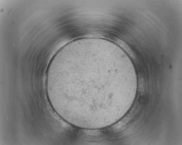 X0000088030856200705182024