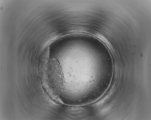 X0000088030857200705182024