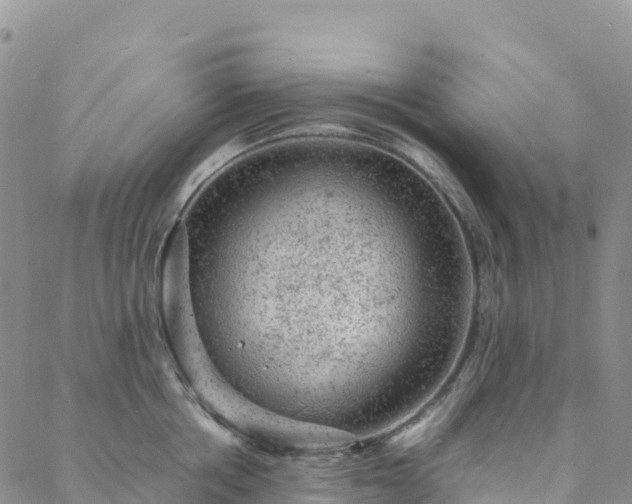 X0000088030858200705182024