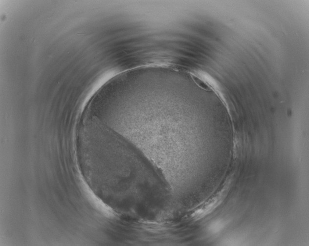 X0000088030859200705182024