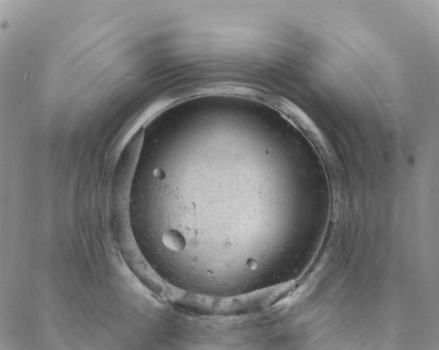 X0000088030860200705182024