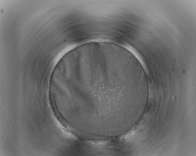 X0000088030861200705182024