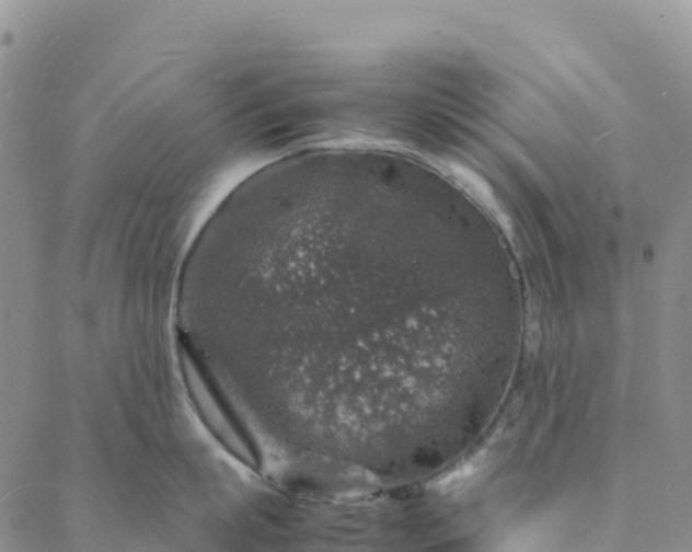 X0000088030863200705182024