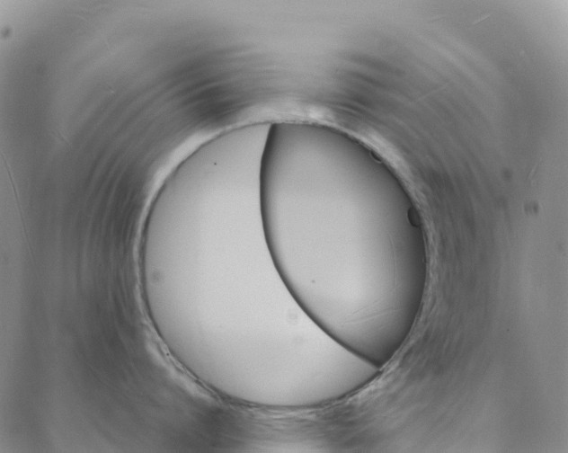 X0000088030864200705182024