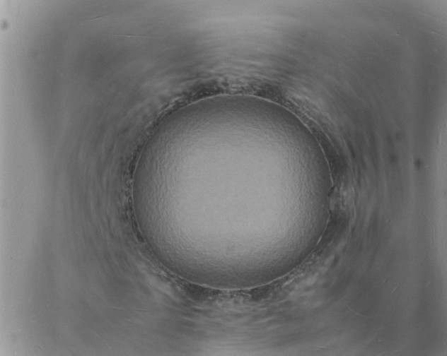 X0000088030865200705182023