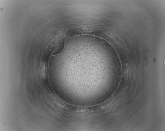 X0000088030866200705182023