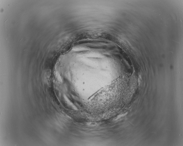 X0000088030867200705182023