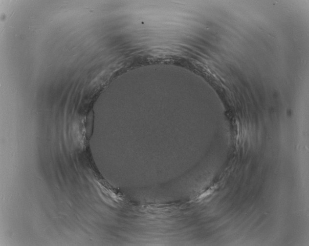 X0000088030868200705182023