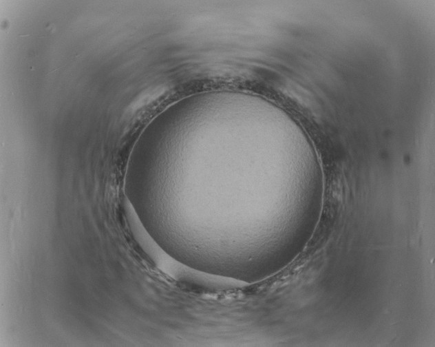 X0000088030869200705182023