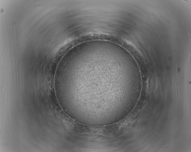 X0000088030870200705182023