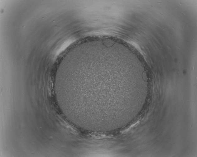 X0000088030871200705182023