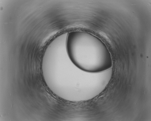 X0000088030872200705182023