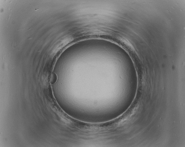 X0000088030873200705182023