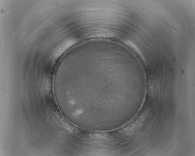 X0000088030874200705182023