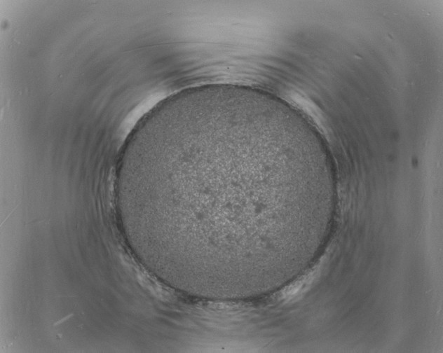 X0000088030875200705182023