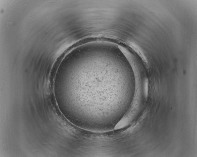 X0000088030876200705182023