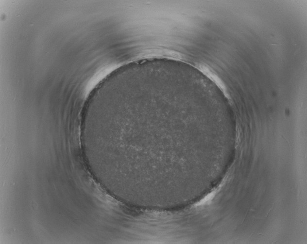 X0000088030877200705182023