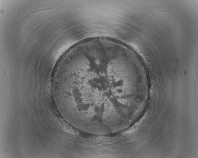 X0000088030879200705182023