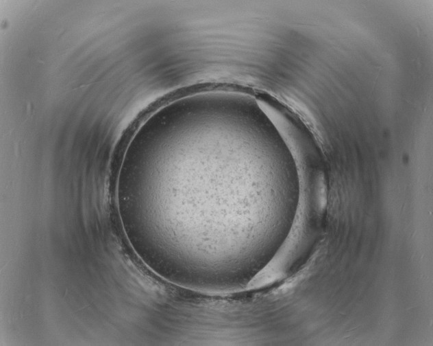 X0000088030880200705182023