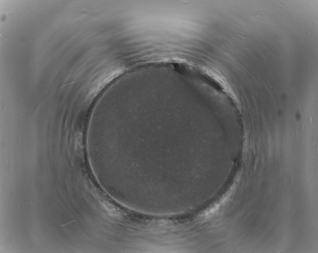 X0000088030881200705182023