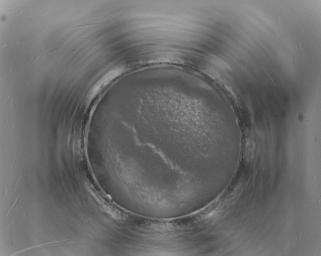 X0000088030882200705182023