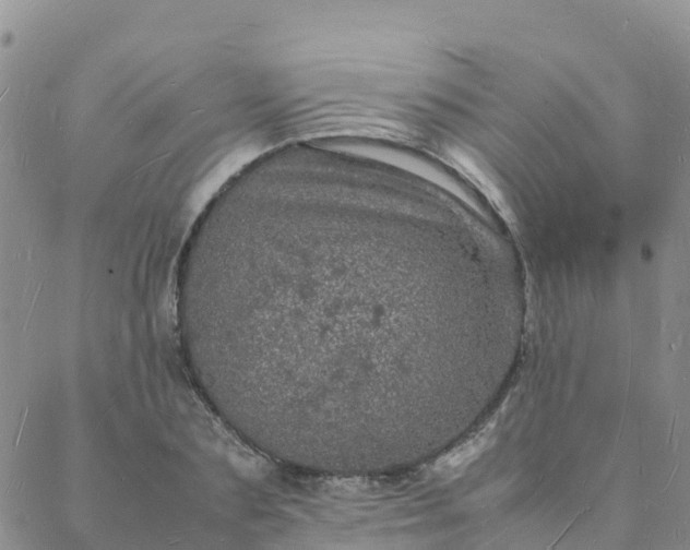 X0000088030883200705182023