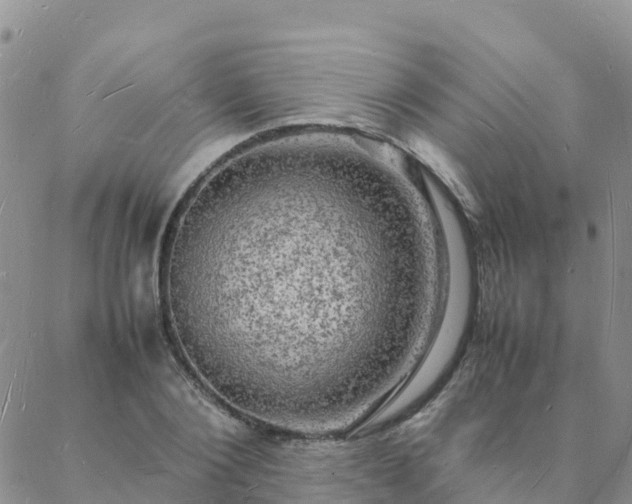 X0000088030884200705182023