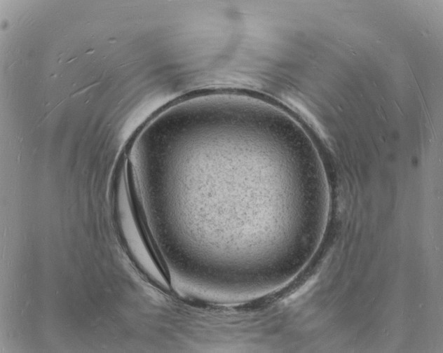 X0000088030885200705182023