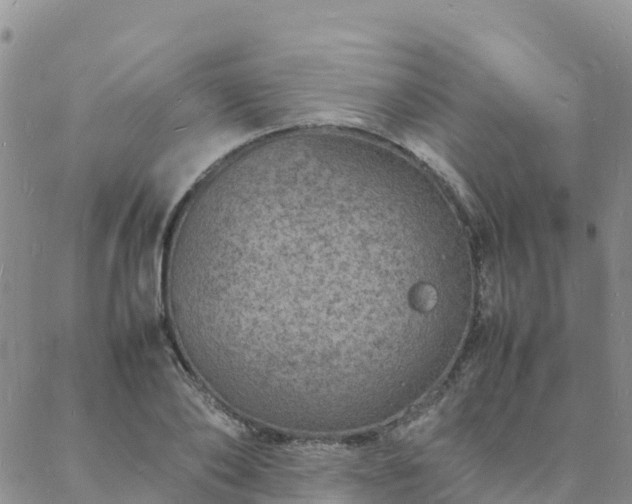 X0000088030886200705182023