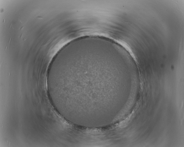 X0000088030887200705182023