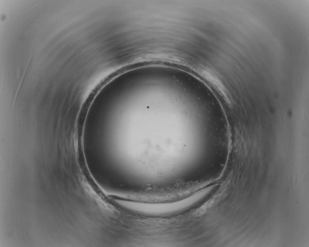 X0000088030888200705182022