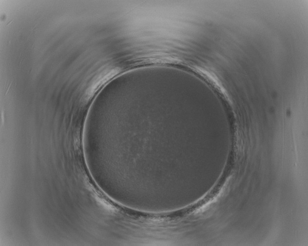 X0000088030889200705182022