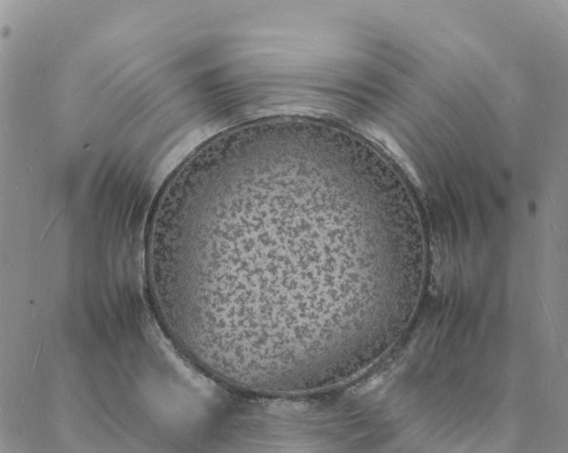 X0000088030890200705182022