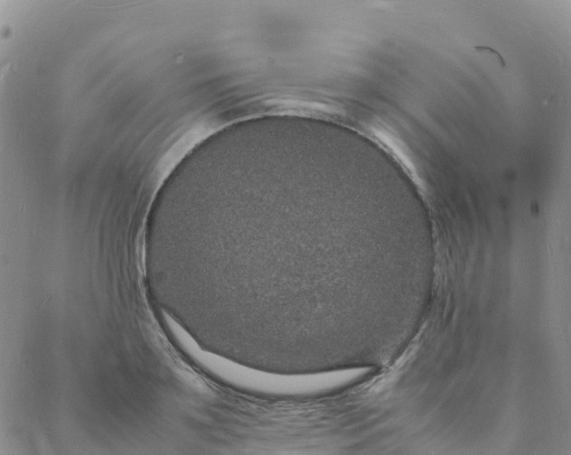 X0000088030891200705182022