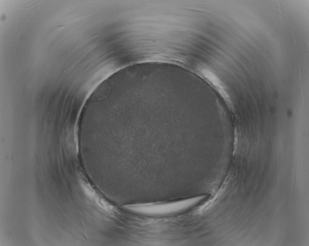 X0000088030892200705182022