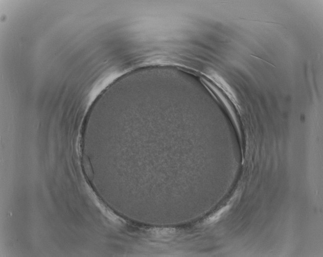 X0000088030893200705182022