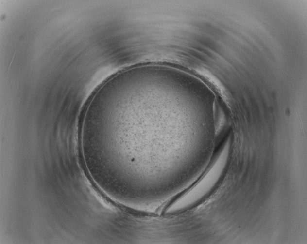 X0000088030894200705182022