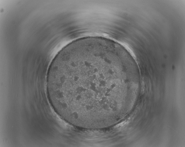 X0000088030895200705182022