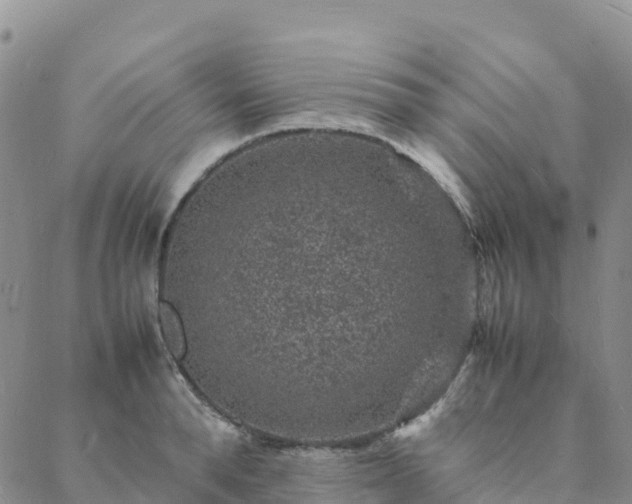 X0000088030896200705182022