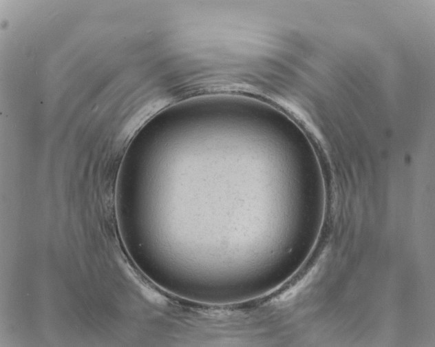 X0000088030897200705182022