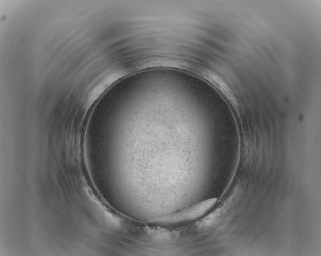 X0000088030898200705182022