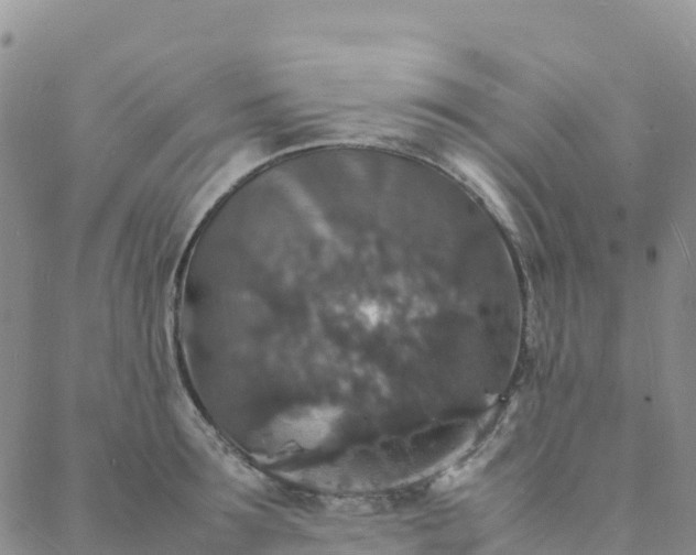 X0000088030899200705182022