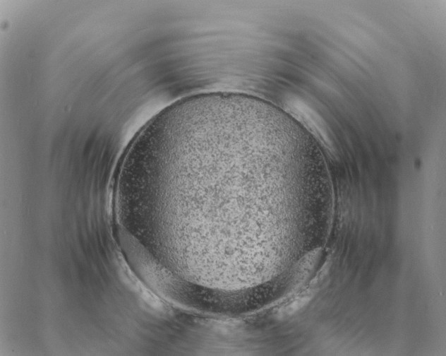 X0000088030900200705182022