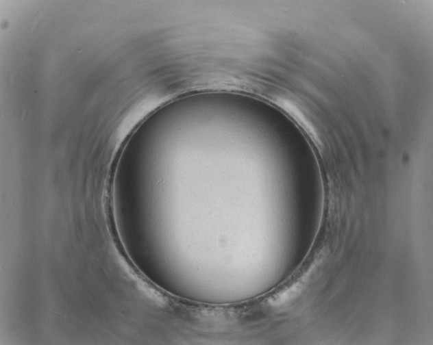 X0000088030901200705182022