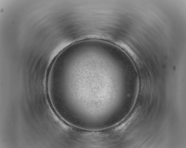 X0000088030902200705182022