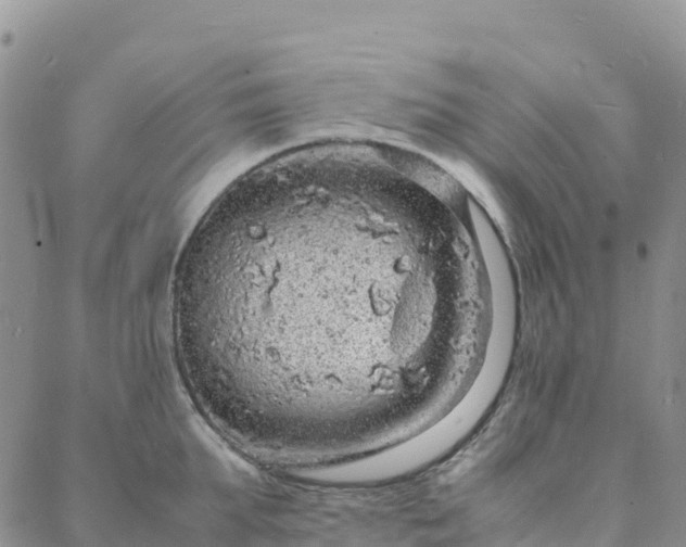 X0000088030903200705182022